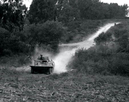 811. 41st cavalry on maneuvers.